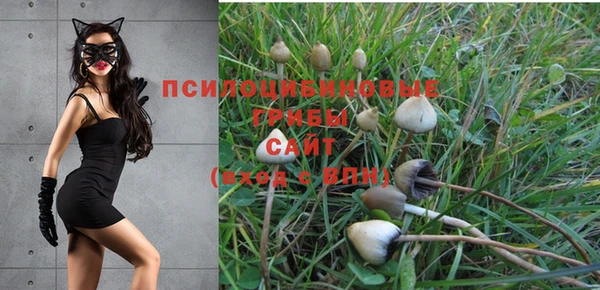 ПСИЛОЦИБИНОВЫЕ ГРИБЫ Сафоново